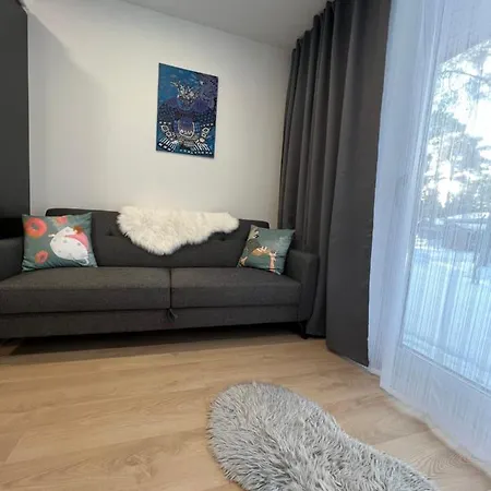 With Sauna And Terrace Apartment *