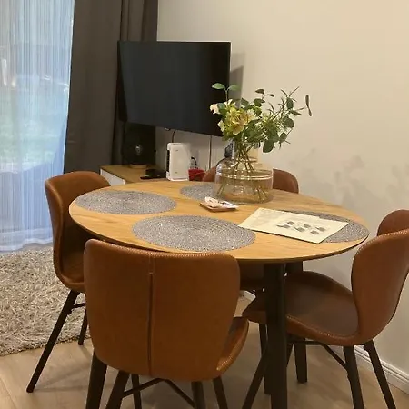 Apartment With Sauna And Terrace