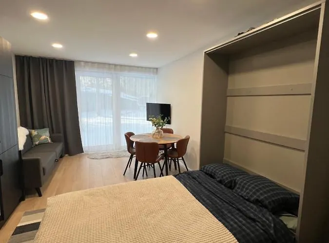 With Sauna And Terrace *