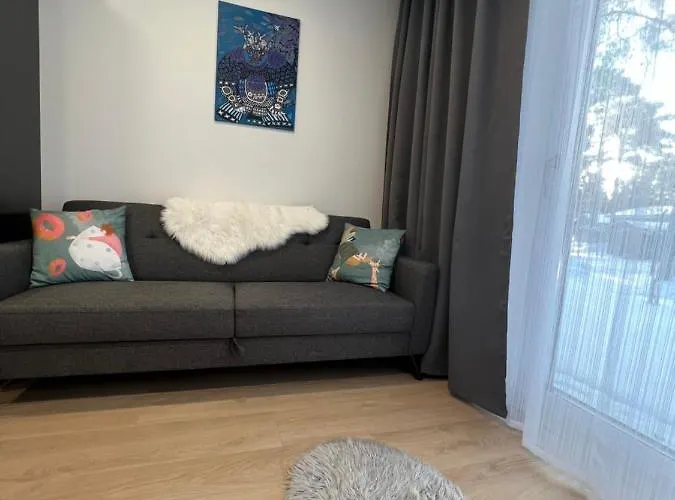 With Sauna And Terrace Apartment *