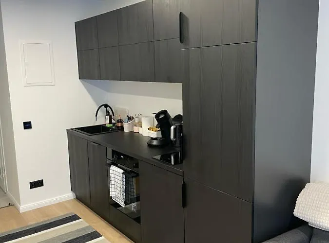 Appartement With Sauna And Terrace